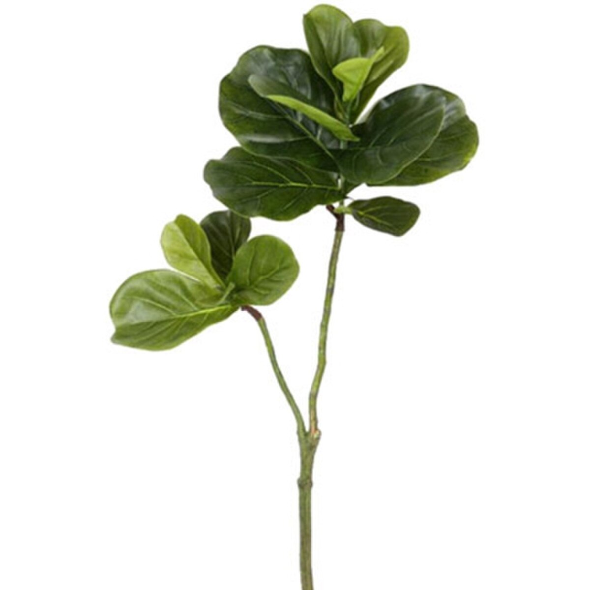 Fiddle Leaf Branch 32"