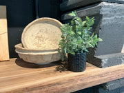 Faux floral in clay pot