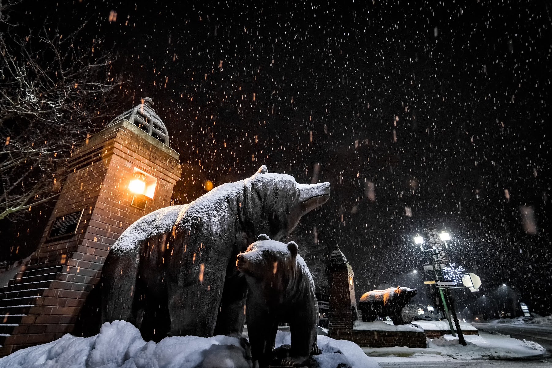 Revelstoke Bears - Watercolour