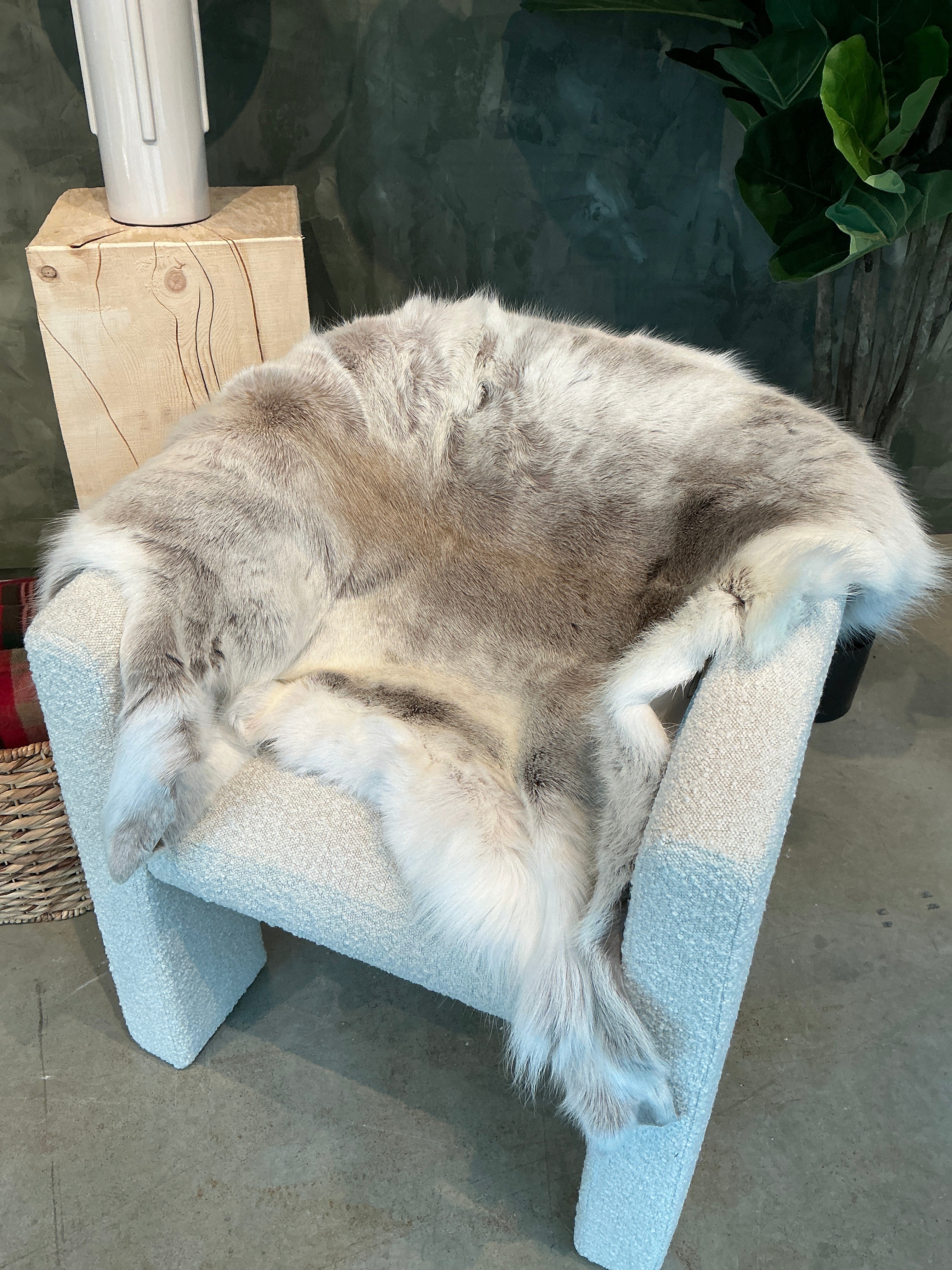 Arctic Reindeer Pelt