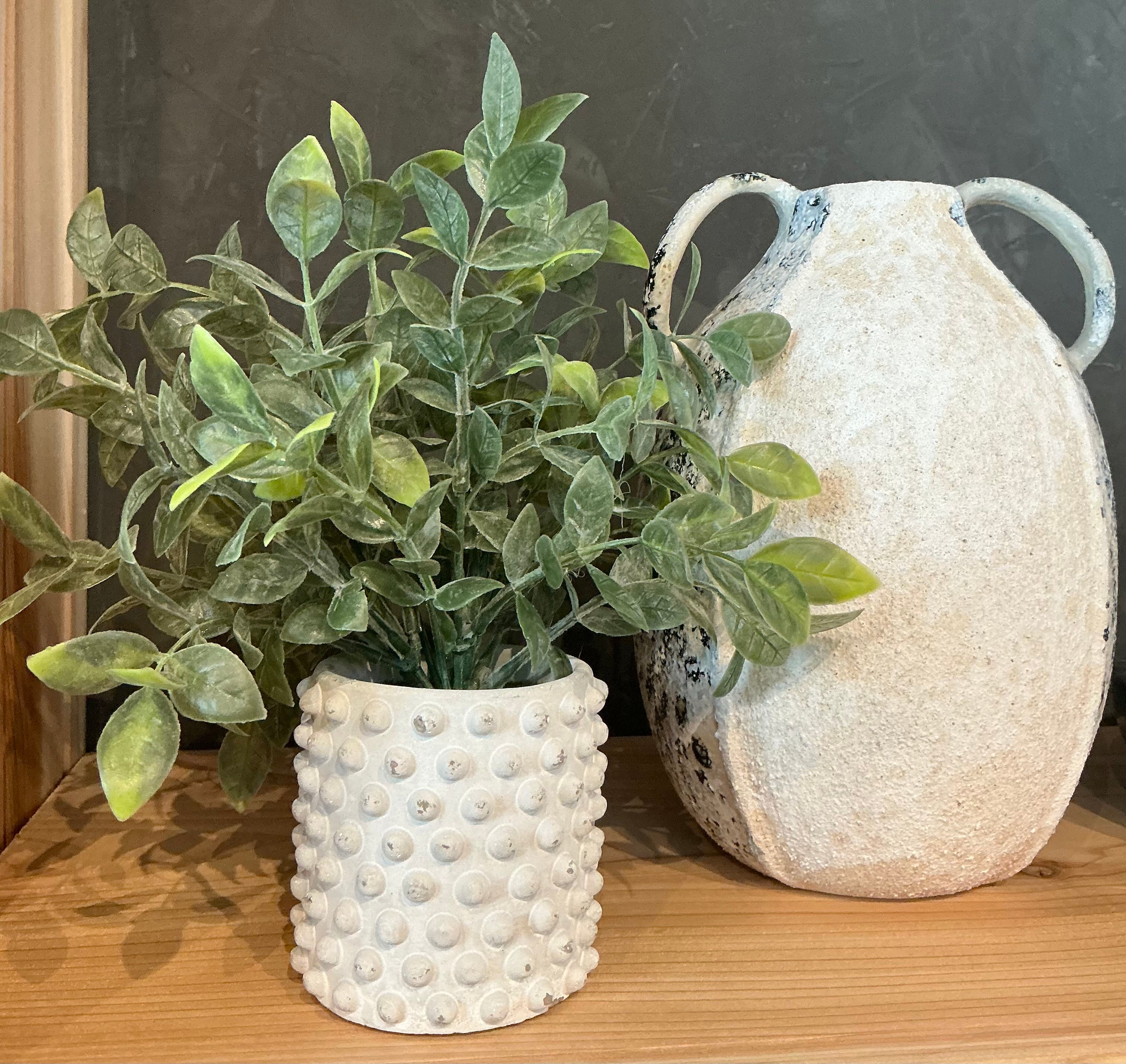 Table plant