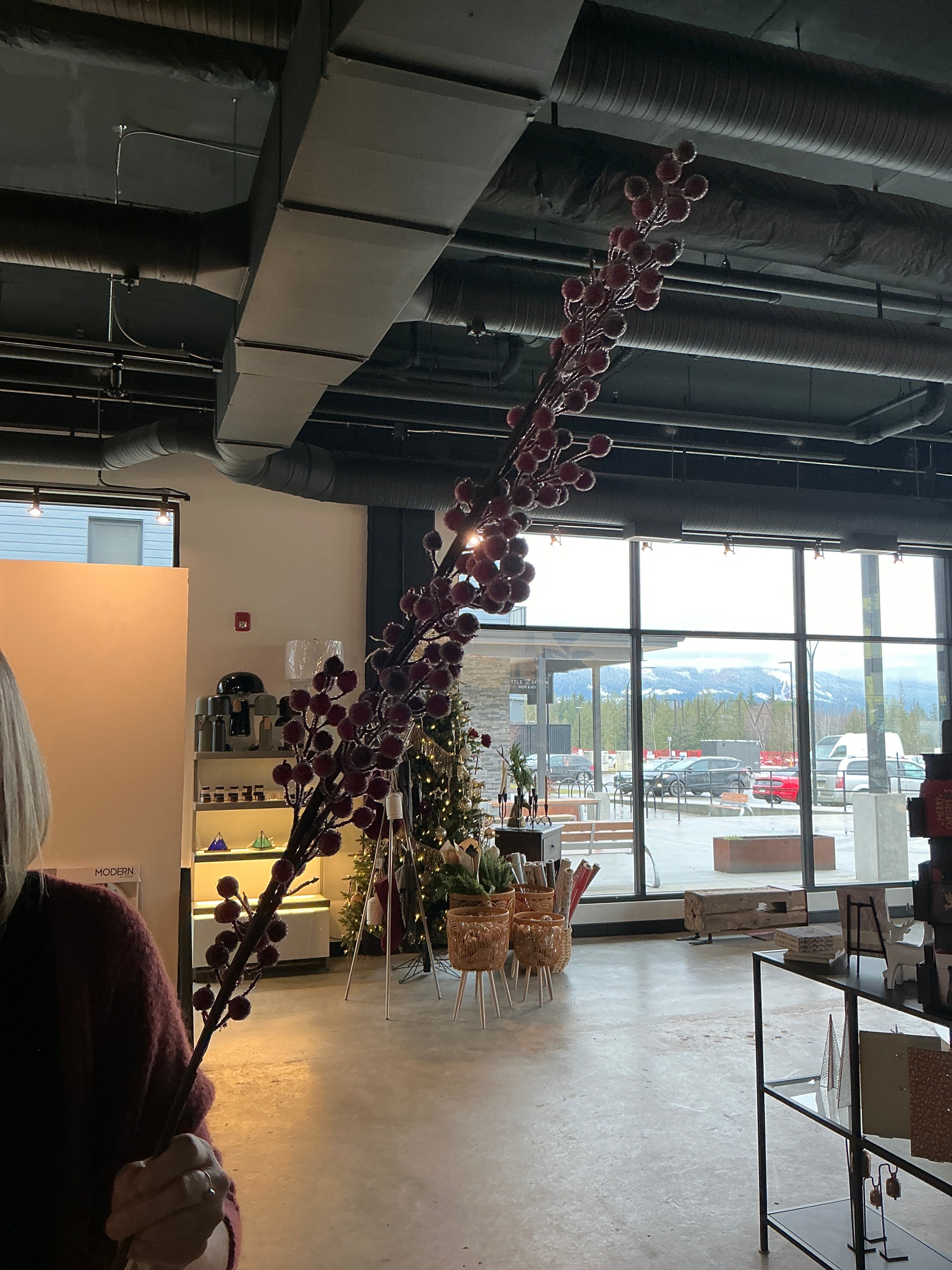 Cranberry Spray Branch