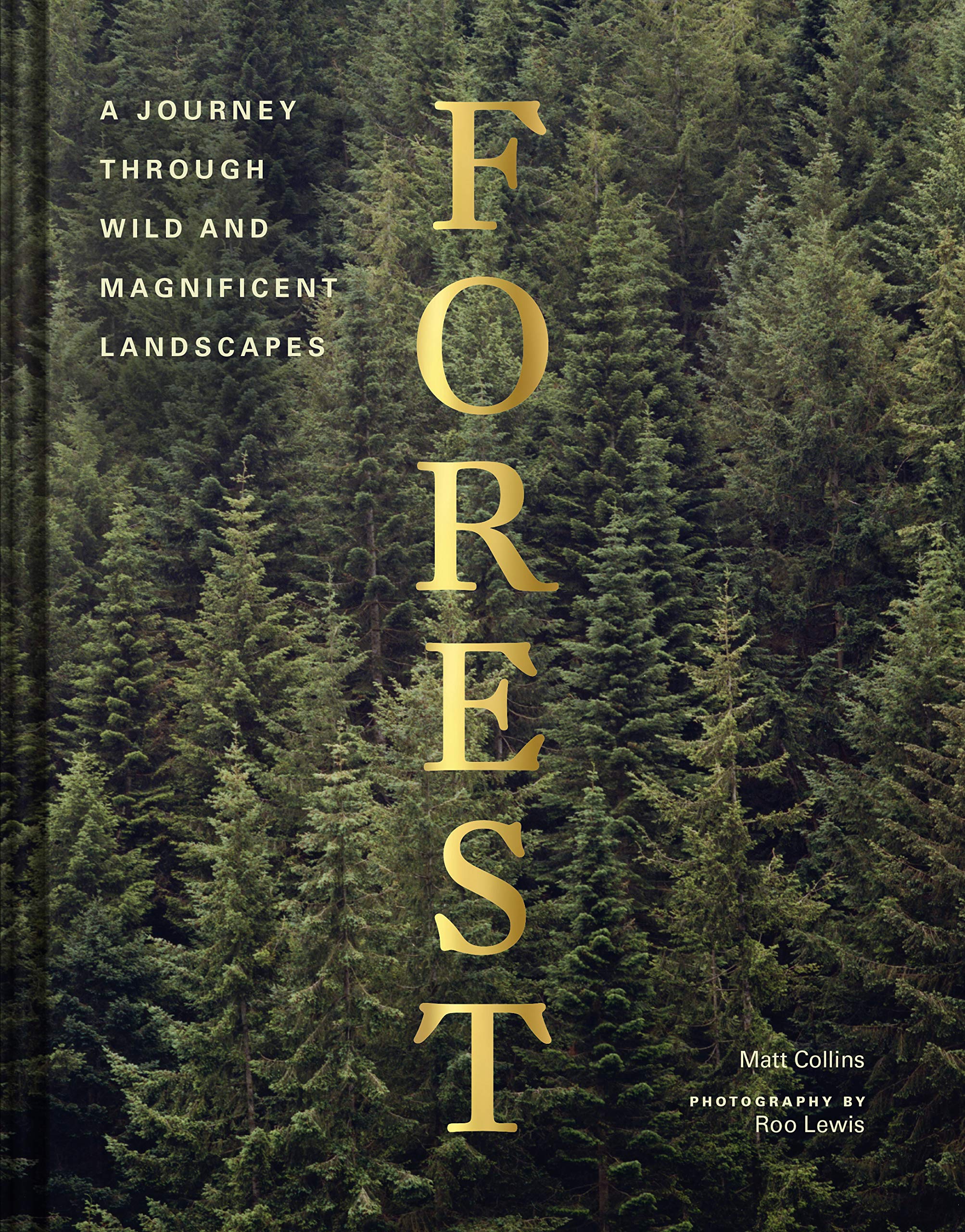 Forest -A Journey Through Wild And Magnificent Landscapes