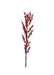 Red Berry Branch