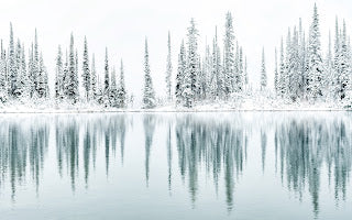 Hahnemuhle Metallic Prints - Vincent Schnabl