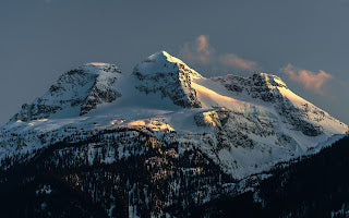 Hahnemuhle Metallic Prints - Vincent Schnabl