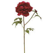 Real Touch Open Peone - Fuchsia