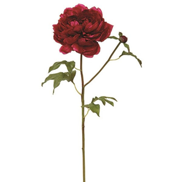 Real Touch Open Peone - Fuchsia