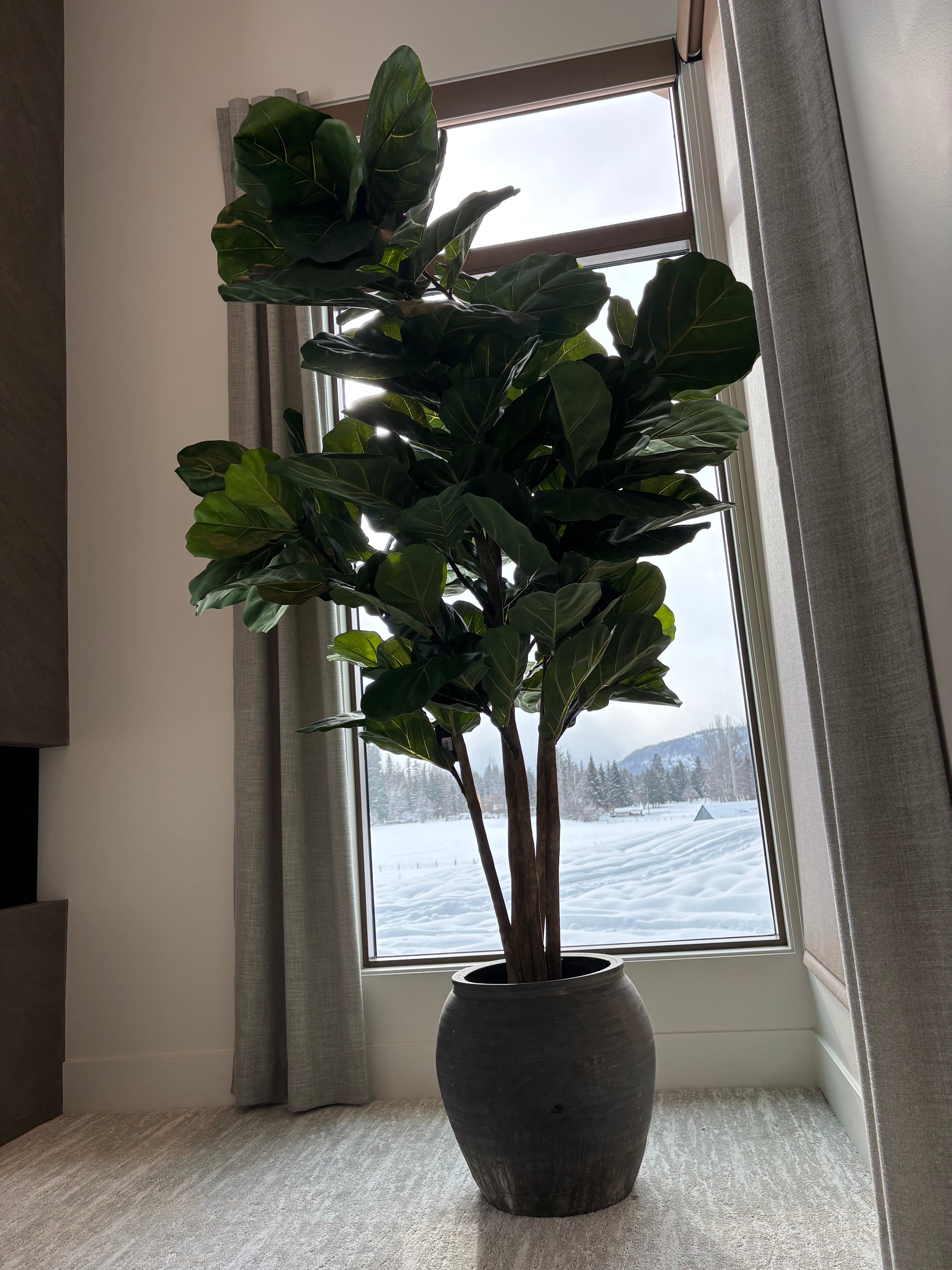9' Fiddle Leaf Fig Tree