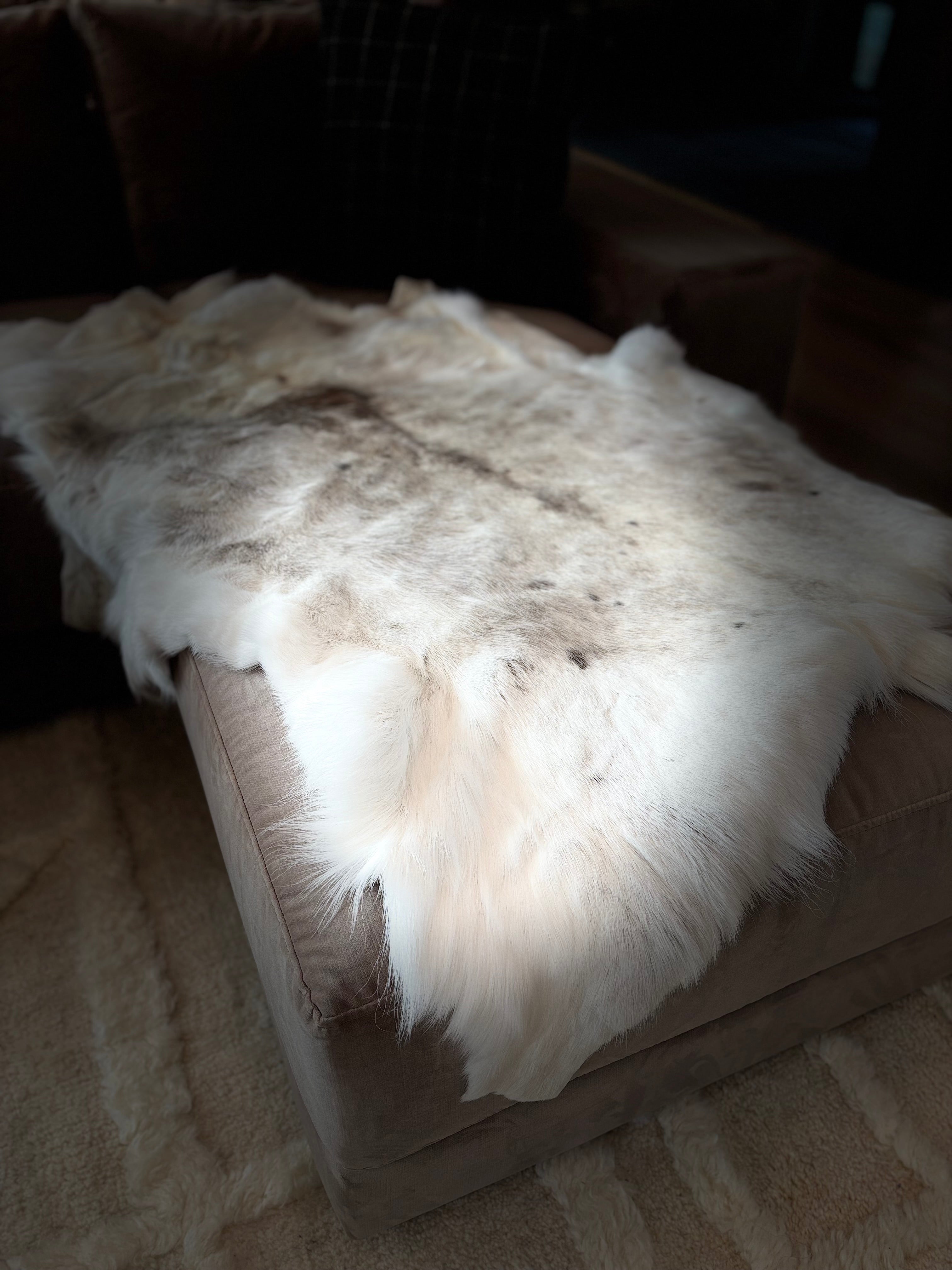 Arctic Reindeer Pelt