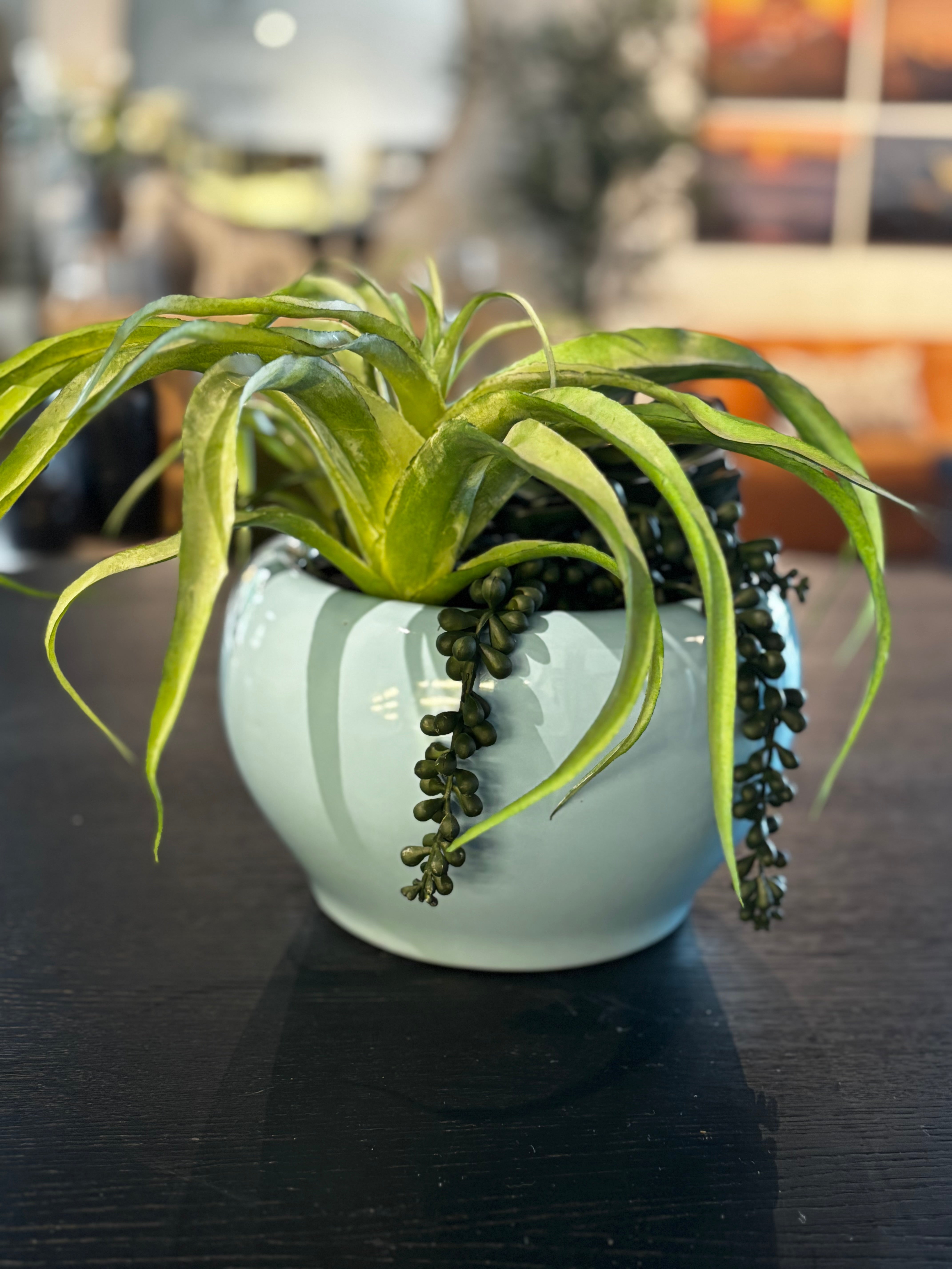 Faux Succulents in a Robin's Egg Blue Pot