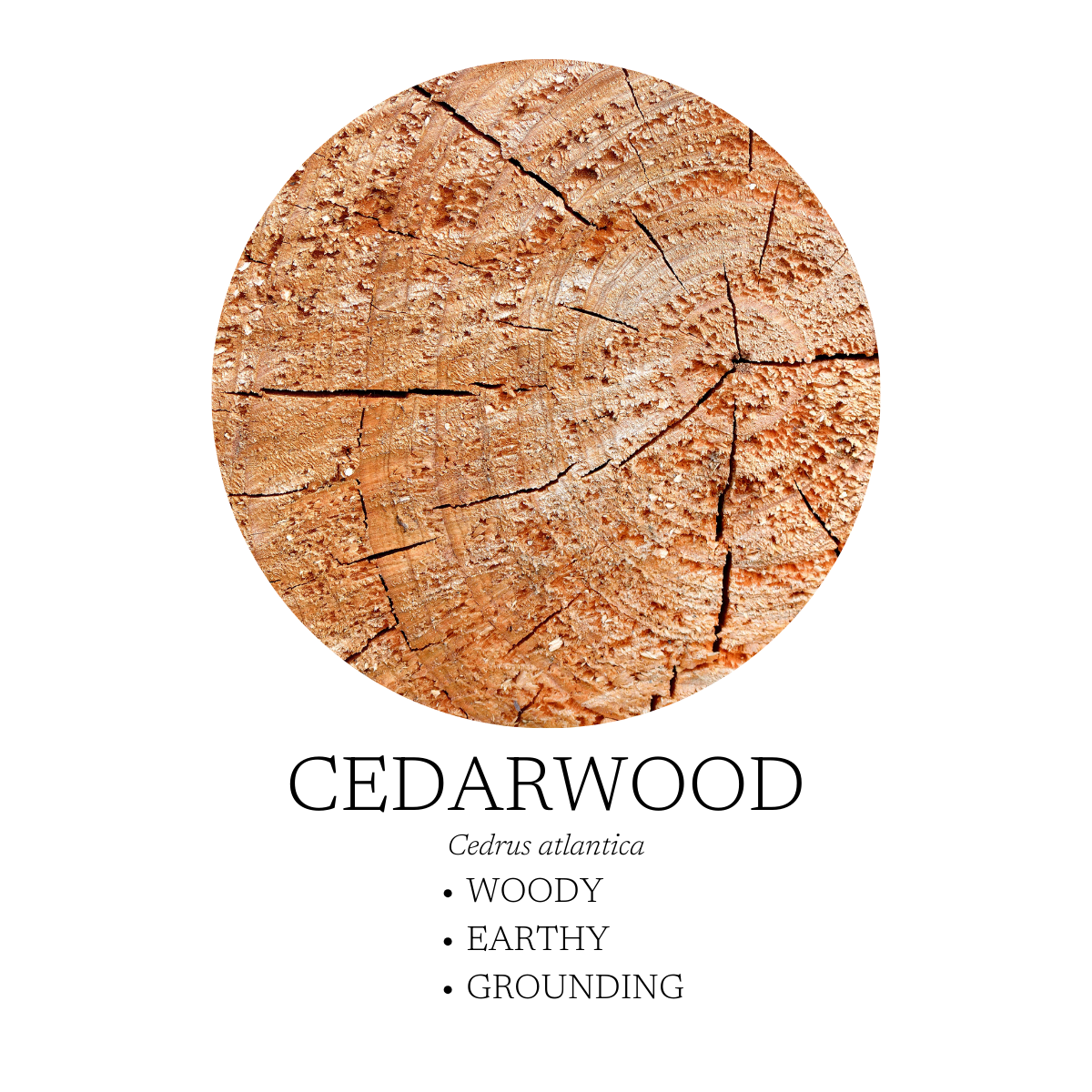 Walk in the Woods Linen + Room Spray 120 mL