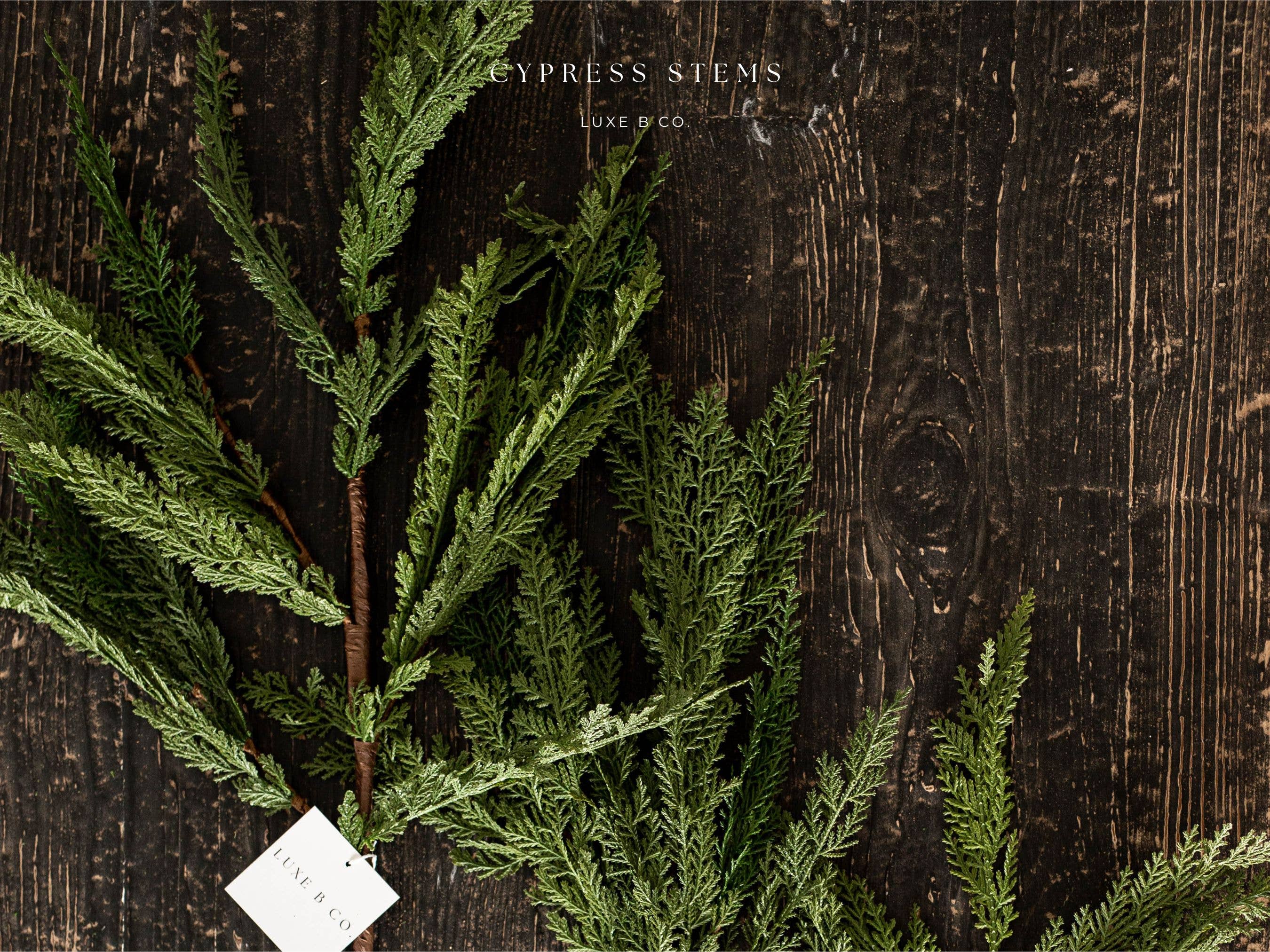 Cypress Pine Real Touch Green Faux Stem Large