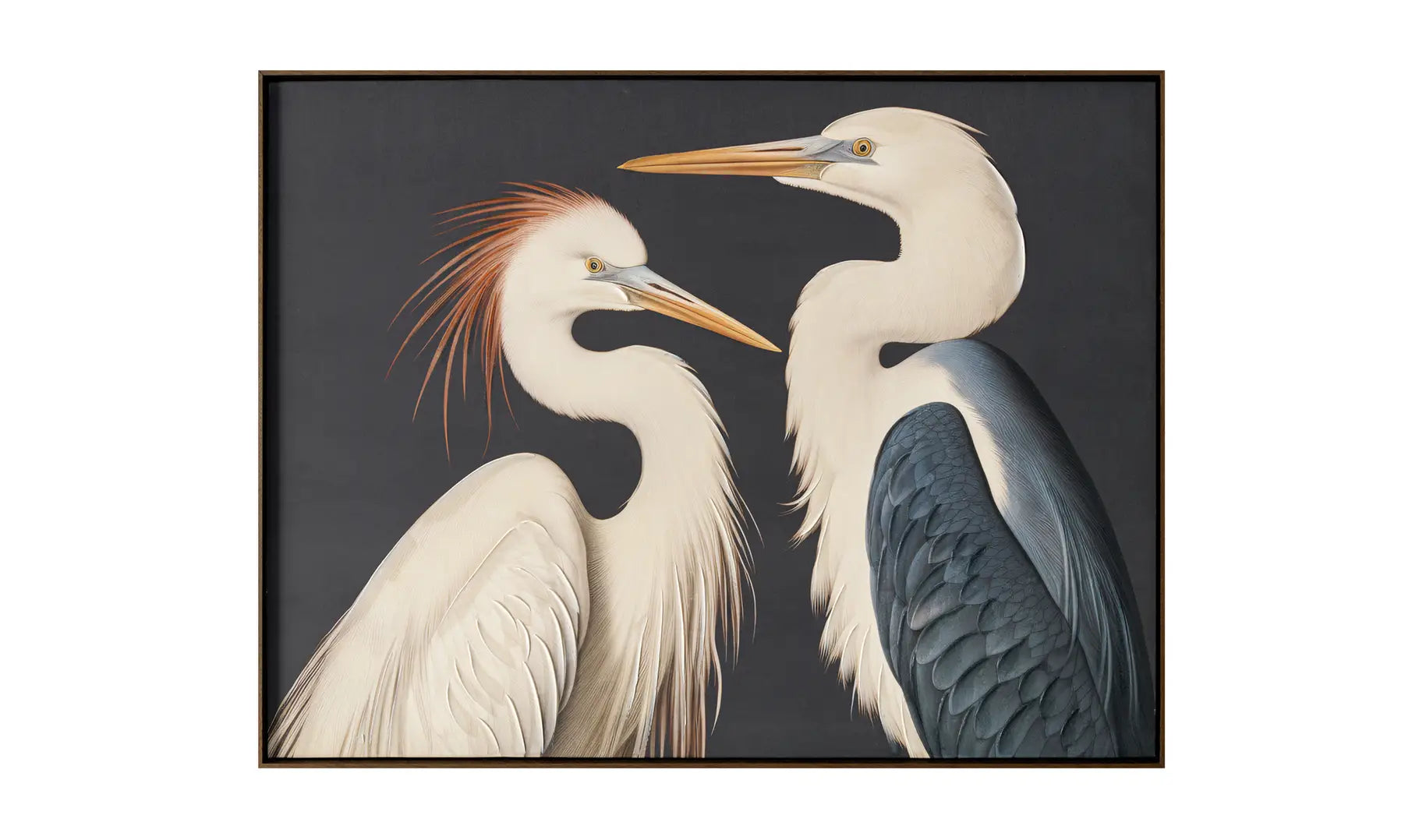 Two Cranes | Framed Painting